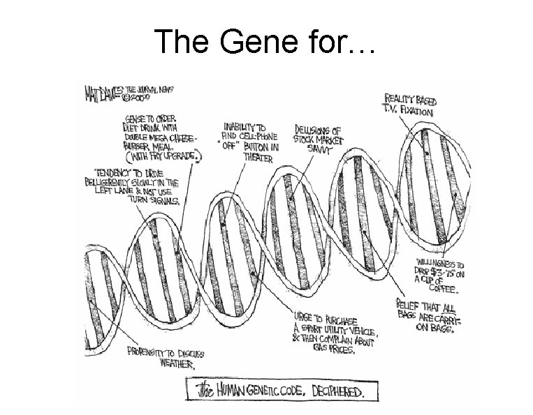 The Gene for… 