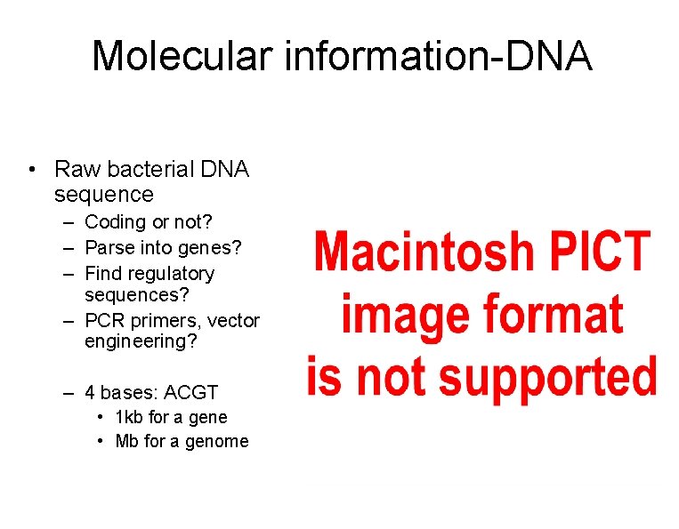 Molecular information-DNA • Raw bacterial DNA sequence – Coding or not? – Parse into