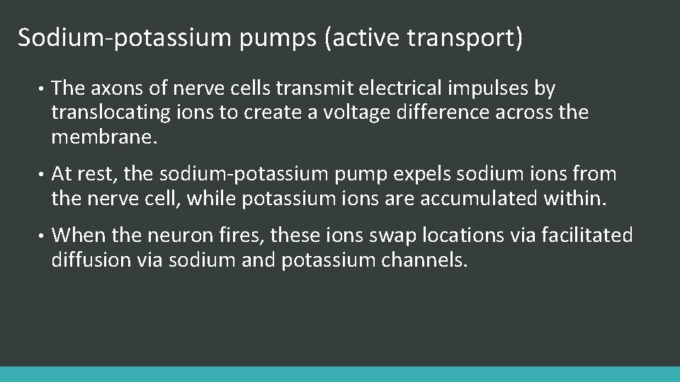 Sodium-potassium pumps (active transport) • The axons of nerve cells transmit electrical impulses by
