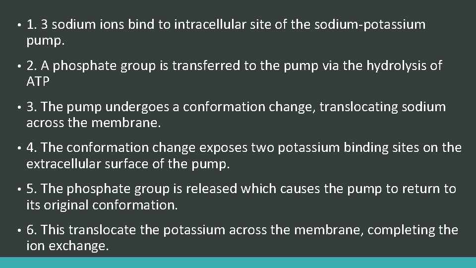  • 1. 3 sodium ions bind to intracellular site of the sodium-potassium pump.