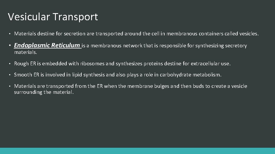 Vesicular Transport • Materials destine for secretion are transported around the cell in membranous