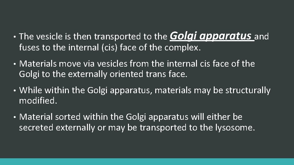  • The vesicle is then transported to the Golgi apparatus and fuses to