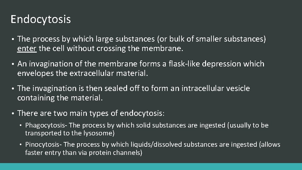 Endocytosis • The process by which large substances (or bulk of smaller substances) enter