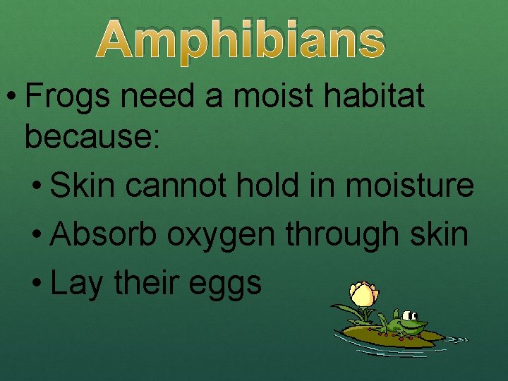 Amphibians • Frogs need a moist habitat because: • Skin cannot hold in moisture