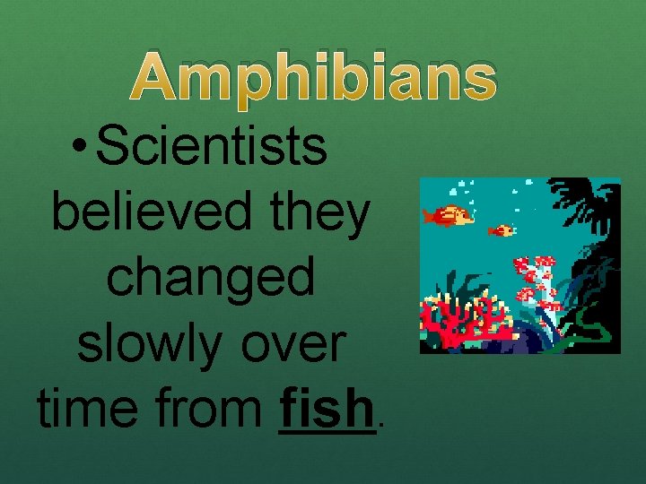 Amphibians • Scientists believed they changed slowly over time from fish. 