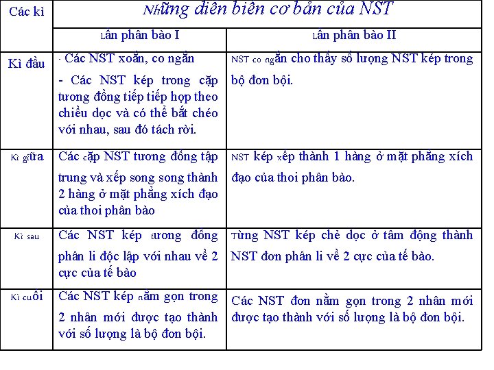 Các kì Những diễn biến cơ bản của NST Lần phân bào II NST