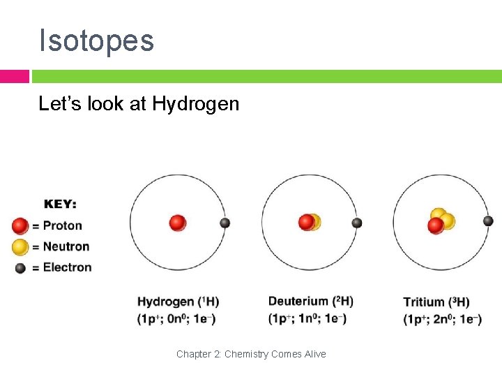 Isotopes Let’s look at Hydrogen Chapter 2: Chemistry Comes Alive 