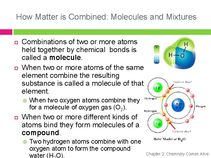 How Matter is Combined: Molecules and Mixtures Combinations of two or more atoms held