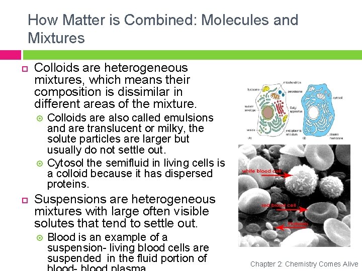 How Matter is Combined: Molecules and Mixtures Colloids are heterogeneous mixtures, which means their