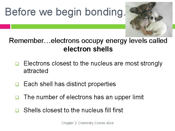 Before we begin bonding… Remember…electrons occupy energy levels called electron shells q Electrons closest