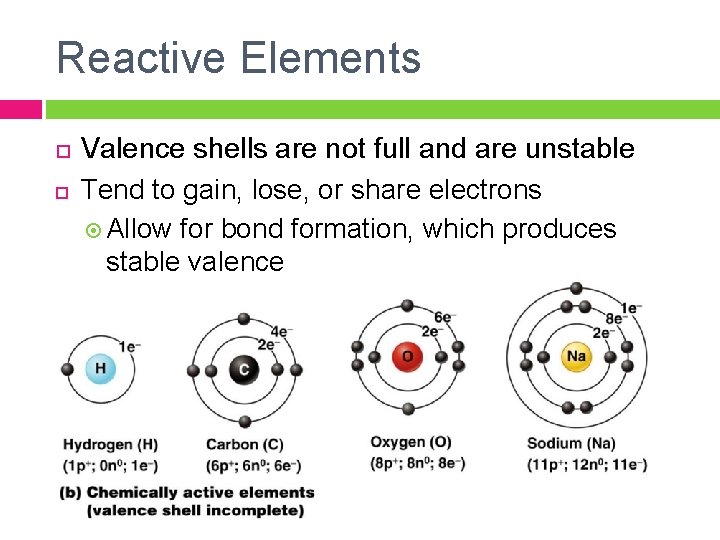 Reactive Elements Valence shells are not full and are unstable Tend to gain, lose,