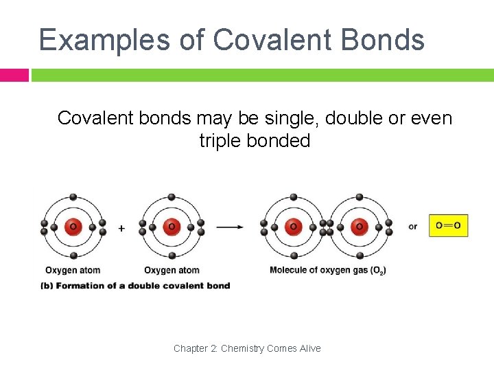 Examples of Covalent Bonds Covalent bonds may be single, double or even triple bonded
