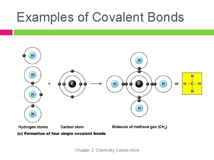 Examples of Covalent Bonds Chapter 2: Chemistry Comes Alive 