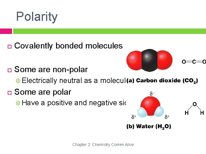 Polarity Covalently bonded molecules Some are non-polar Electrically neutral as a molecule Some are