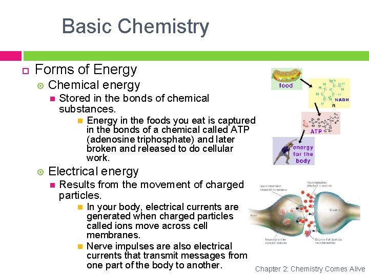Basic Chemistry Forms of Energy Chemical energy Stored in the bonds of chemical substances.