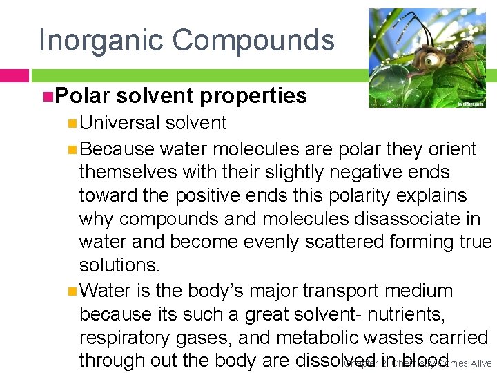 Inorganic Compounds Polar solvent properties Universal solvent Because water molecules are polar they orient