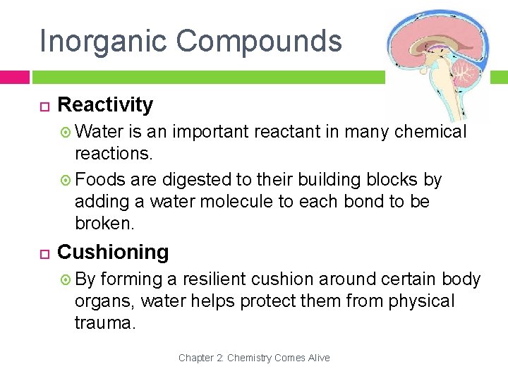 Inorganic Compounds Reactivity Water is an important reactant in many chemical reactions. Foods are