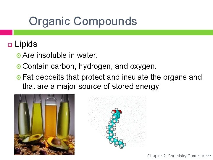 Organic Compounds Lipids Are insoluble in water. Contain carbon, hydrogen, and oxygen. Fat deposits