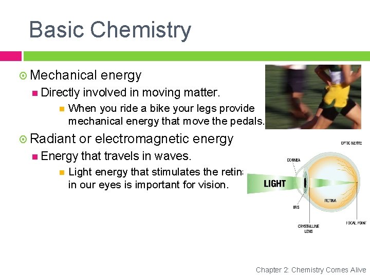 Basic Chemistry Mechanical Directly involved in moving matter. When you ride a bike your