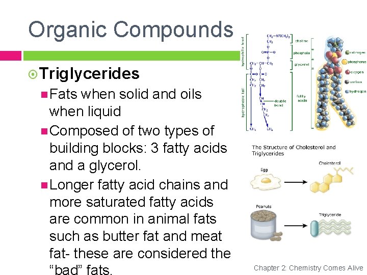 Organic Compounds Triglycerides Fats when solid and oils when liquid Composed of two types