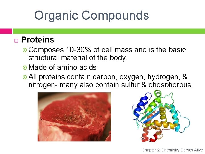 Organic Compounds Proteins Composes 10 -30% of cell mass and is the basic structural