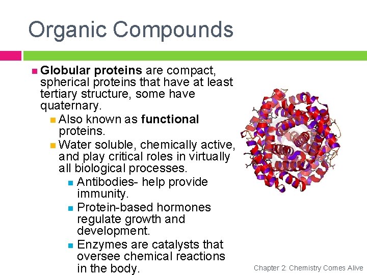 Organic Compounds Globular proteins are compact, spherical proteins that have at least tertiary structure,