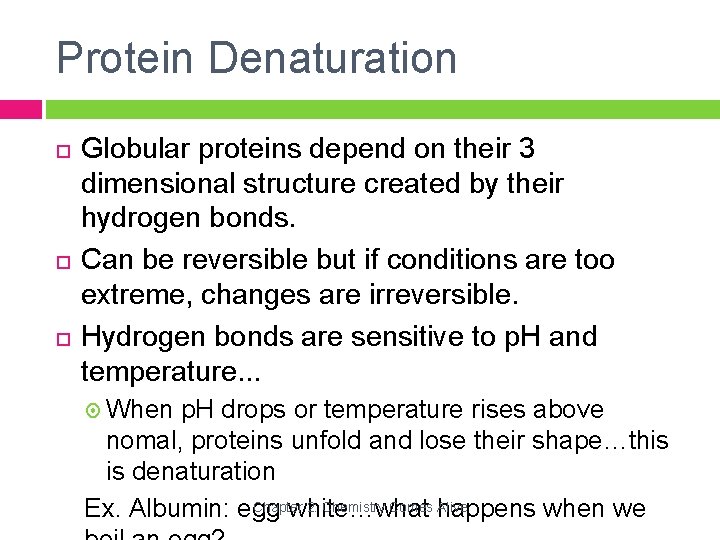 Protein Denaturation Globular proteins depend on their 3 dimensional structure created by their hydrogen