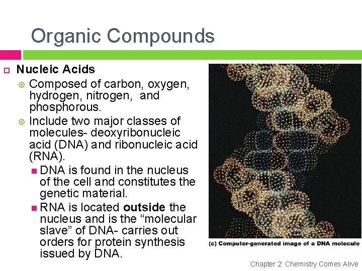 Organic Compounds Nucleic Acids Composed of carbon, oxygen, hydrogen, nitrogen, and phosphorous. Include two