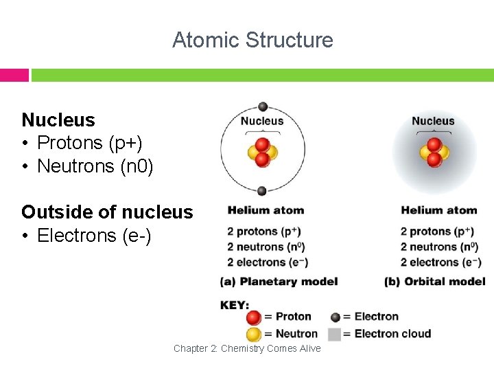 Atomic Structure Nucleus • Protons (p+) • Neutrons (n 0) Outside of nucleus •