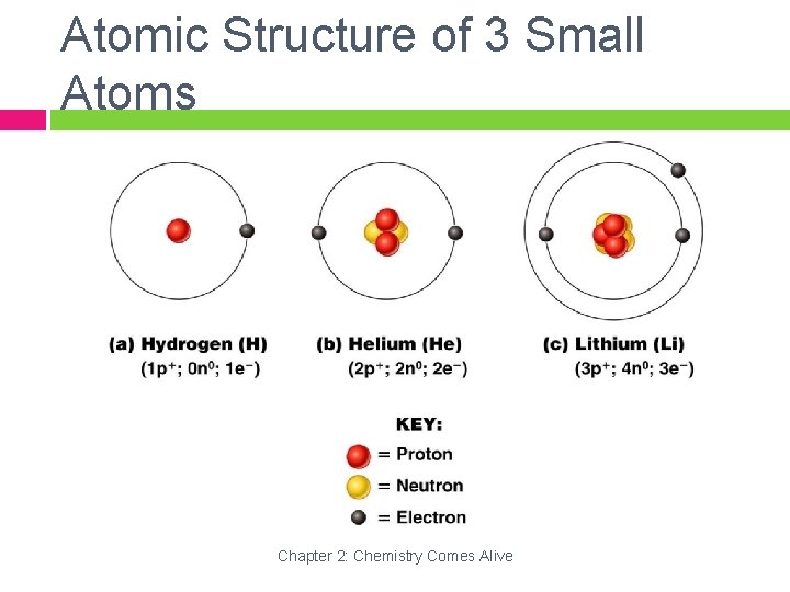 Atomic Structure of 3 Small Atoms Chapter 2: Chemistry Comes Alive 