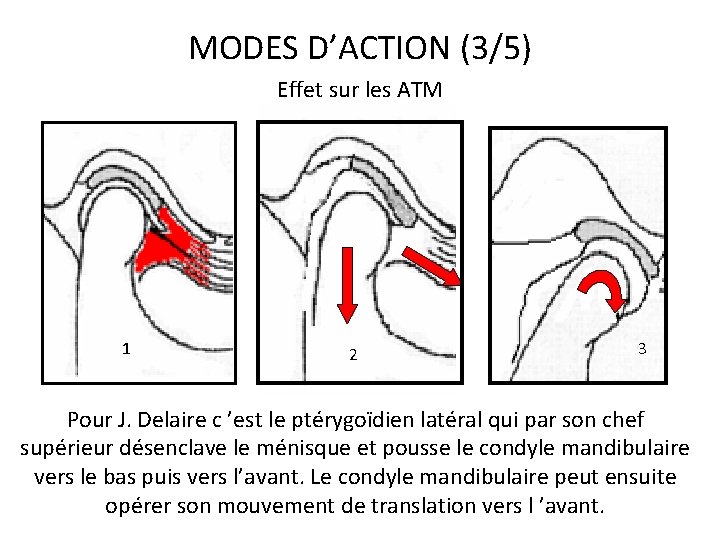 MODES D’ACTION (3/5) Effet sur les ATM 1 2 3 Pour J. Delaire c