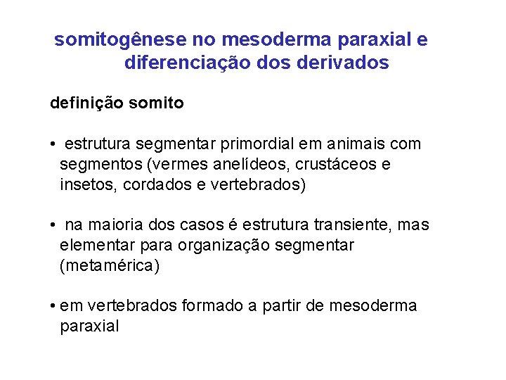 somitogênese no mesoderma paraxial e diferenciação dos derivados definição somito • estrutura segmentar primordial