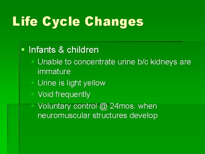 Life Cycle Changes § Infants & children § Unable to concentrate urine b/c kidneys