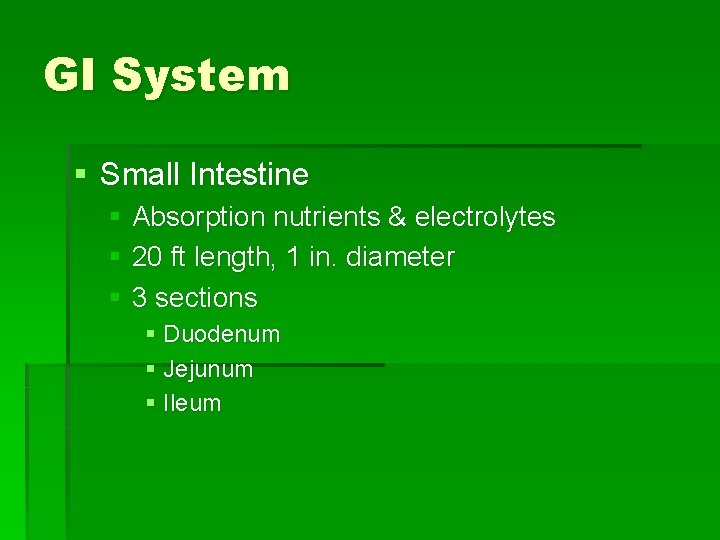 GI System § Small Intestine § Absorption nutrients & electrolytes § 20 ft length,