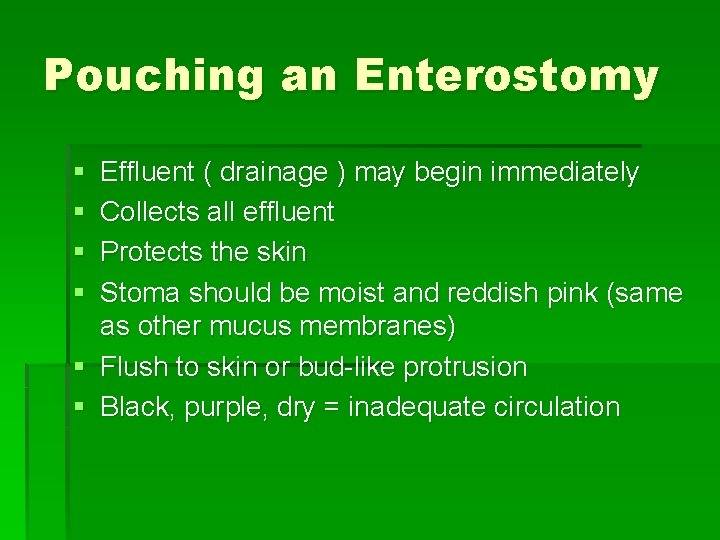 Pouching an Enterostomy § § Effluent ( drainage ) may begin immediately Collects all