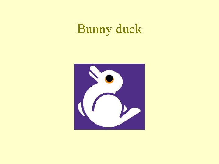 Bunny duck 