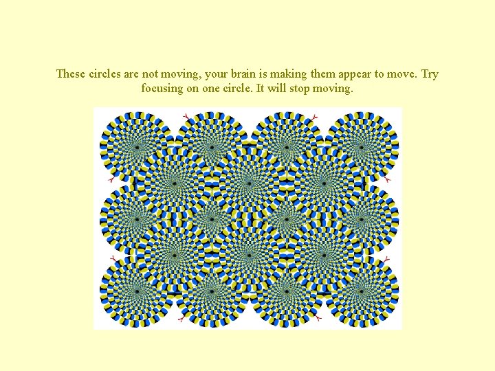 These circles are not moving, your brain is making them appear to move. Try