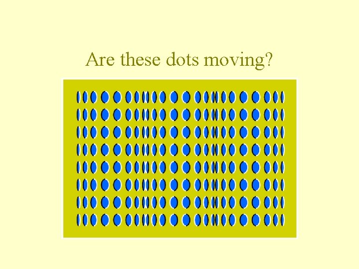 Are these dots moving? 