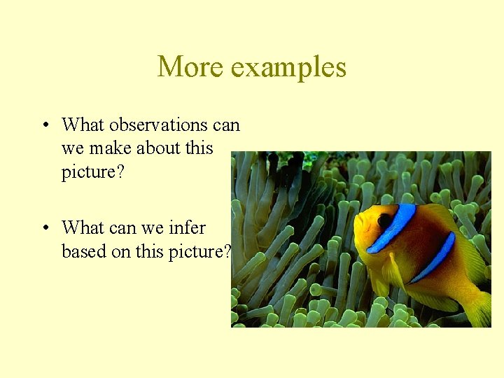 More examples • What observations can we make about this picture? • What can