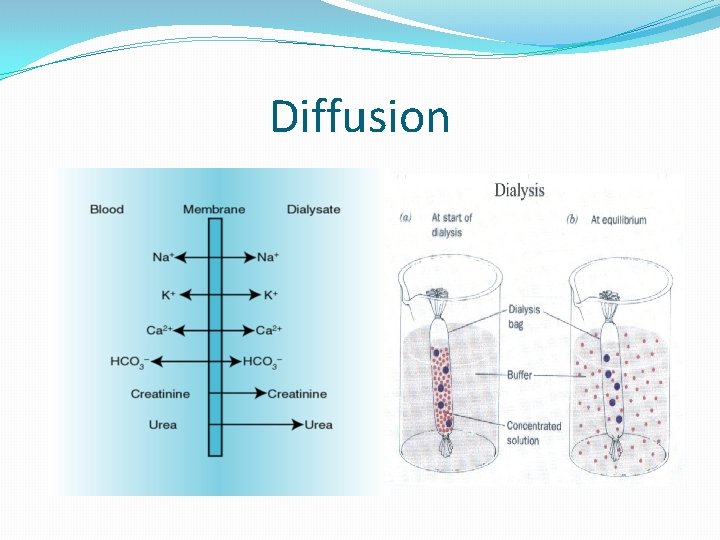 Diffusion 