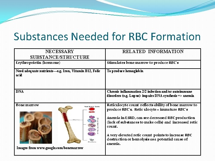 Substances Needed for RBC Formation NECESSARY SUBSTANCE/STRUCTURE RELATED INFORMATION Erythropoietin (hormone) Stimulates bone marrow