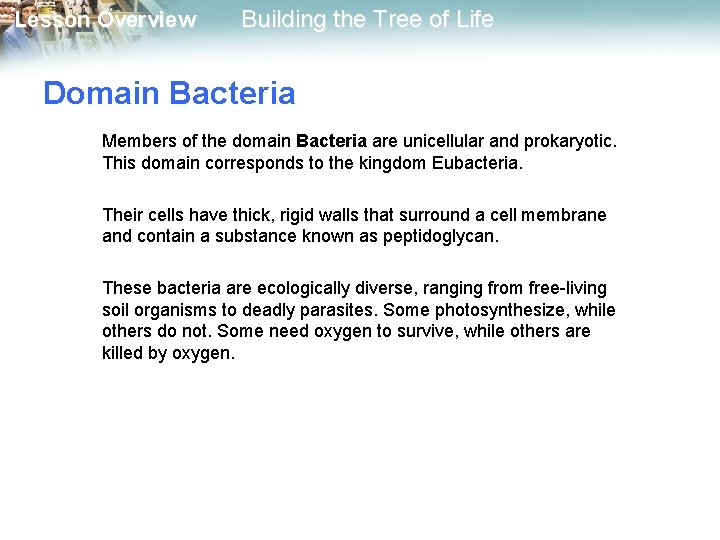 Lesson Overview Building the Tree of Life Domain Bacteria Members of the domain Bacteria