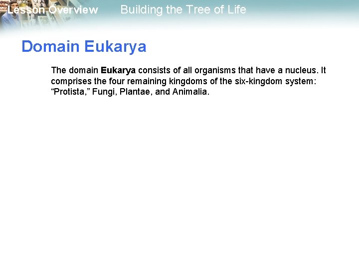 Lesson Overview Building the Tree of Life Domain Eukarya The domain Eukarya consists of