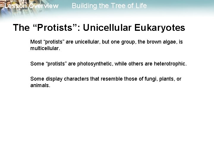 Lesson Overview Building the Tree of Life The “Protists”: Unicellular Eukaryotes Most “protists” are