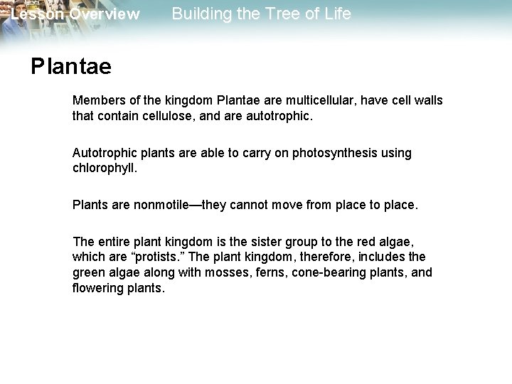 Lesson Overview Building the Tree of Life Plantae Members of the kingdom Plantae are