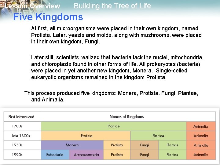 Lesson Overview Building the Tree of Life Five Kingdoms At first, all microorganisms were