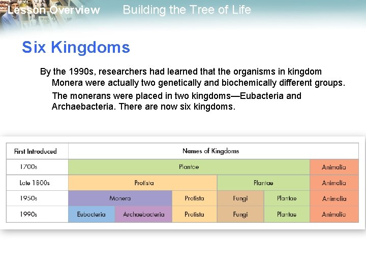 Lesson Overview Building the Tree of Life Six Kingdoms By the 1990 s, researchers