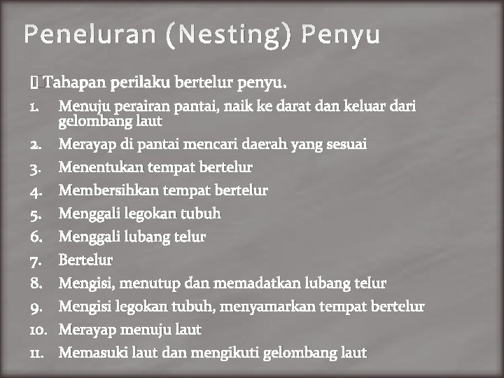 Peneluran (Nesting) Penyu �Tahapan perilaku bertelur penyu: 1. Menuju perairan pantai, naik ke darat