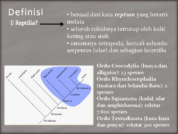 Definisi �Reptilia? • berasal dari kata reptum yang berarti melata • seluruh tubuhnya tertutup