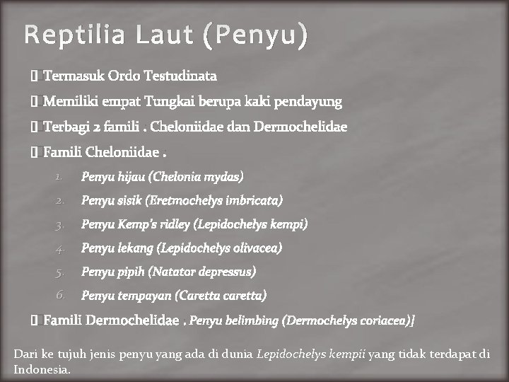 Reptilia Laut (Penyu) �Termasuk Ordo Testudinata �Memiliki empat Tungkai berupa kaki pendayung �Terbagi 2